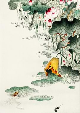 Frog in swamp woodblcok