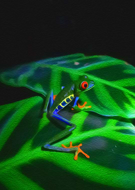 Frog on a Leaf