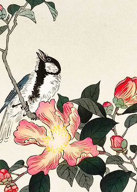 Bird on pink flower print