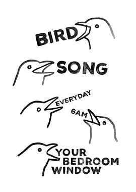 Bird Song