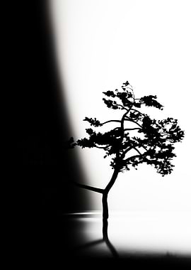 Ripples and Reflections