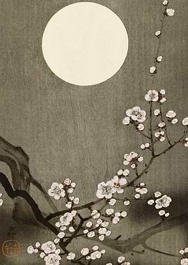 Cherry tree at full moon