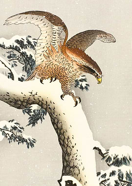 Eagle stretching wings art