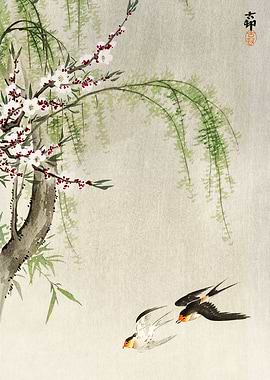 Swallows mid flight print