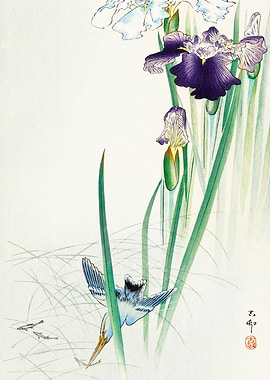 Kingfisher in action print