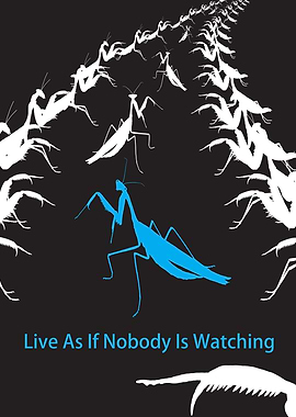 Individuality Mantis