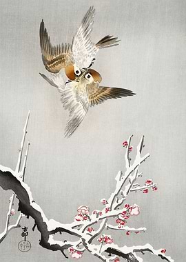 Fighting sparrows woodcut