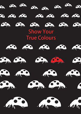 Individuality Ladybird