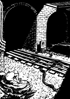 Basking in the light