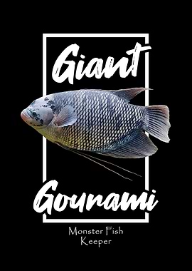 Giant Gourami Monster Fish