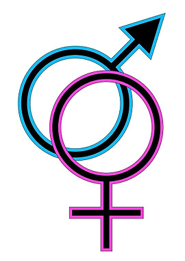 Male And Female Symbol
