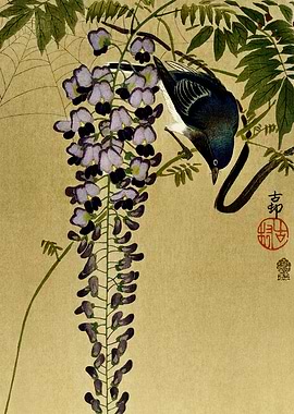 Bird on wisteria flower