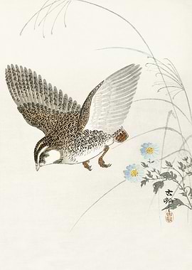 Quail mid flight woodblock