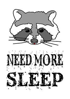 Raccoon Need More Sleep