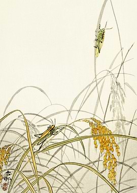 Grasshoppers on plants art