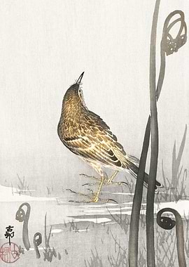 Bird in the field woodcut