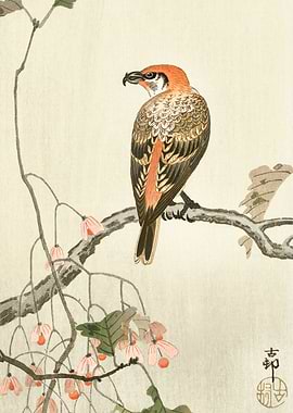 Bird sitting on the tree