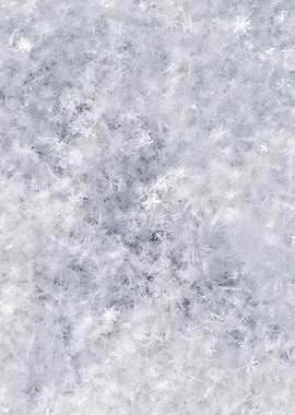 Abstract Of Fresh Snow