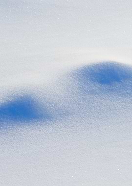Winter Snowdrifts