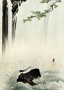 Wagtail near waterfall art