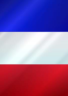 French Grunge Flag Gloss