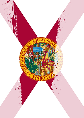 Florida Flag Splash