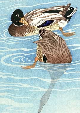 Ducks diving woodblock art