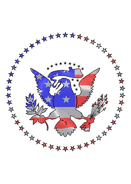 Stars And Stripes Eagle