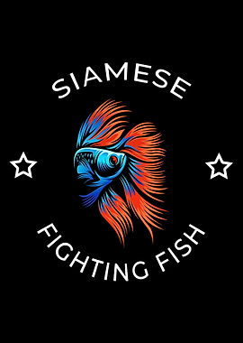 Siamese Fighting Fish
