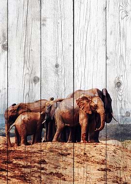 Elephant Art