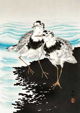 Sandpipers at shore print