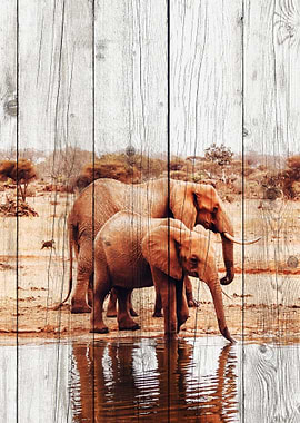 Elephant Art