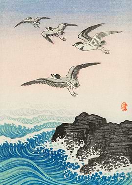 Seagulls over a stormy sea