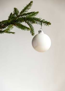 Christmas tree branch