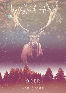 Spirit Animal Deer