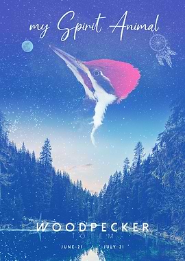 Spirit Animal Woodpecker