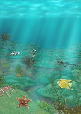 Colombian Coral reef