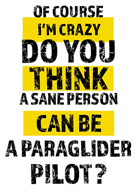 Paraglider pilot