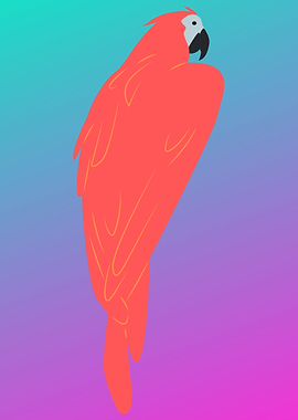 cute colorful parrot art