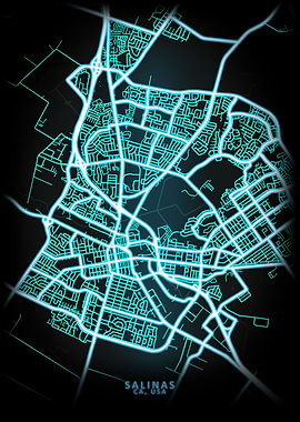 Salinas CA USA City Map
