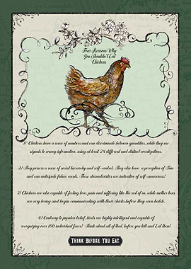 Why U Shouldnt Eat Chicken