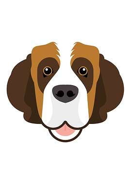 Saint Bernard dog face