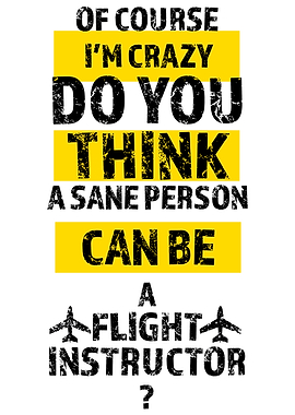 Pilot flight instructor