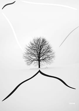 Tree on a Hill