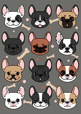 Many frenchies