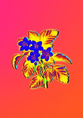 Neon Flower Illustration