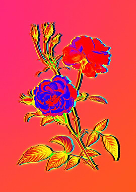 Neon Floral Illustration