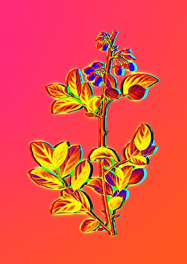 Neon Floral Illustration