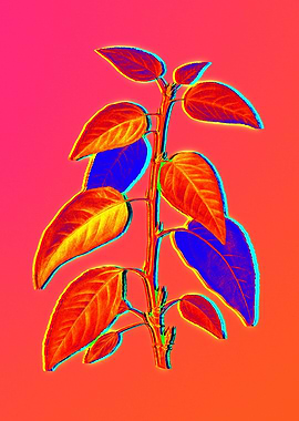 Neon Flower Illustration