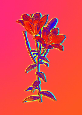 Neon Red Flower on Pink